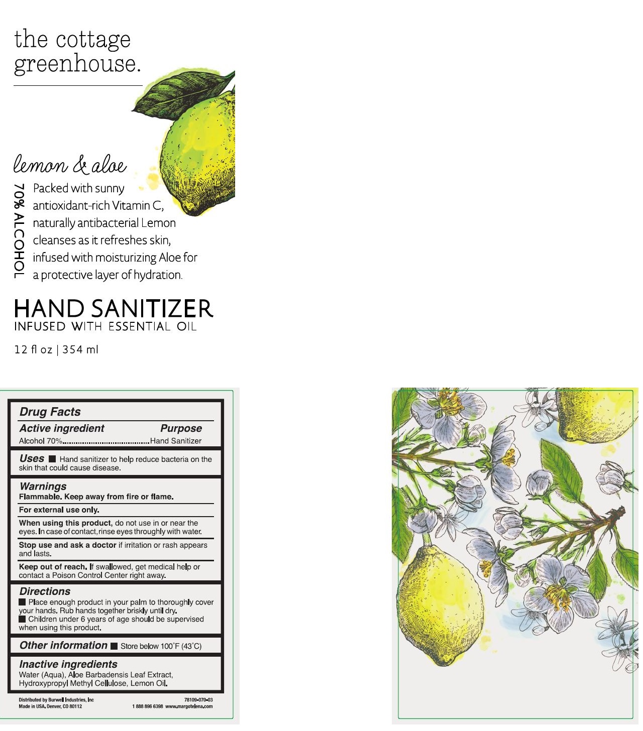 Pill image for Hand Sanitizer - Antibacterial Hand Sanitizer