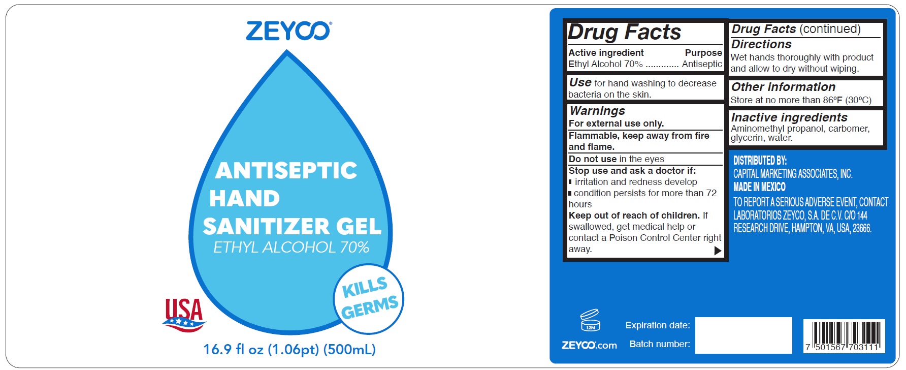 Pill image for Antiseptic Hand Sanitizer