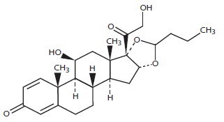 Pill image for These Highlights Do Not Include All The Information Needed To Use Budesonide Rectal Foam Safely And Effectively. See Full Prescribing Information For Budesonide Rectal Foam.