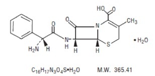 Pill image for these highlights do not include all the information needed to use cephalexin for oral suspension safely and effectively. see full prescribing information for cephalexin for oral suspension