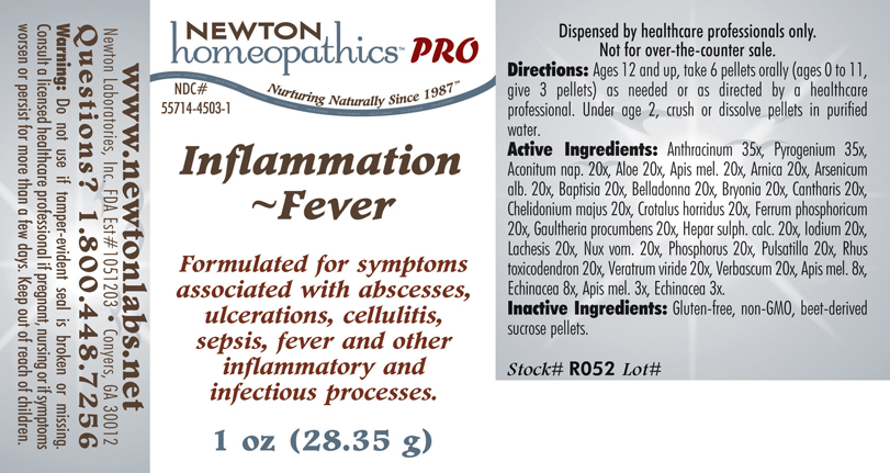 Pill image for Inflammation - Fever