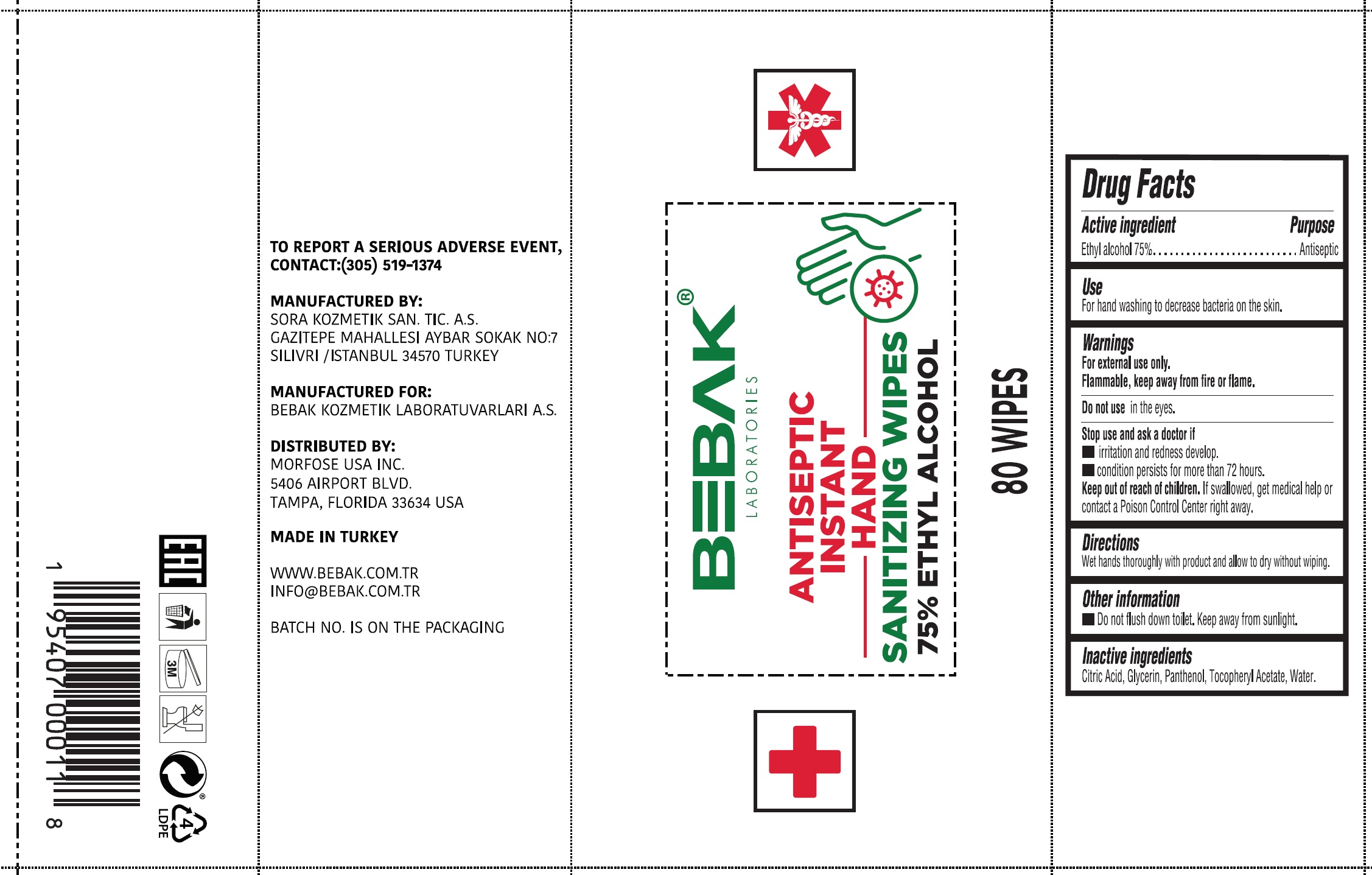 Pill image for hygienic instant hand sanitizing wipes