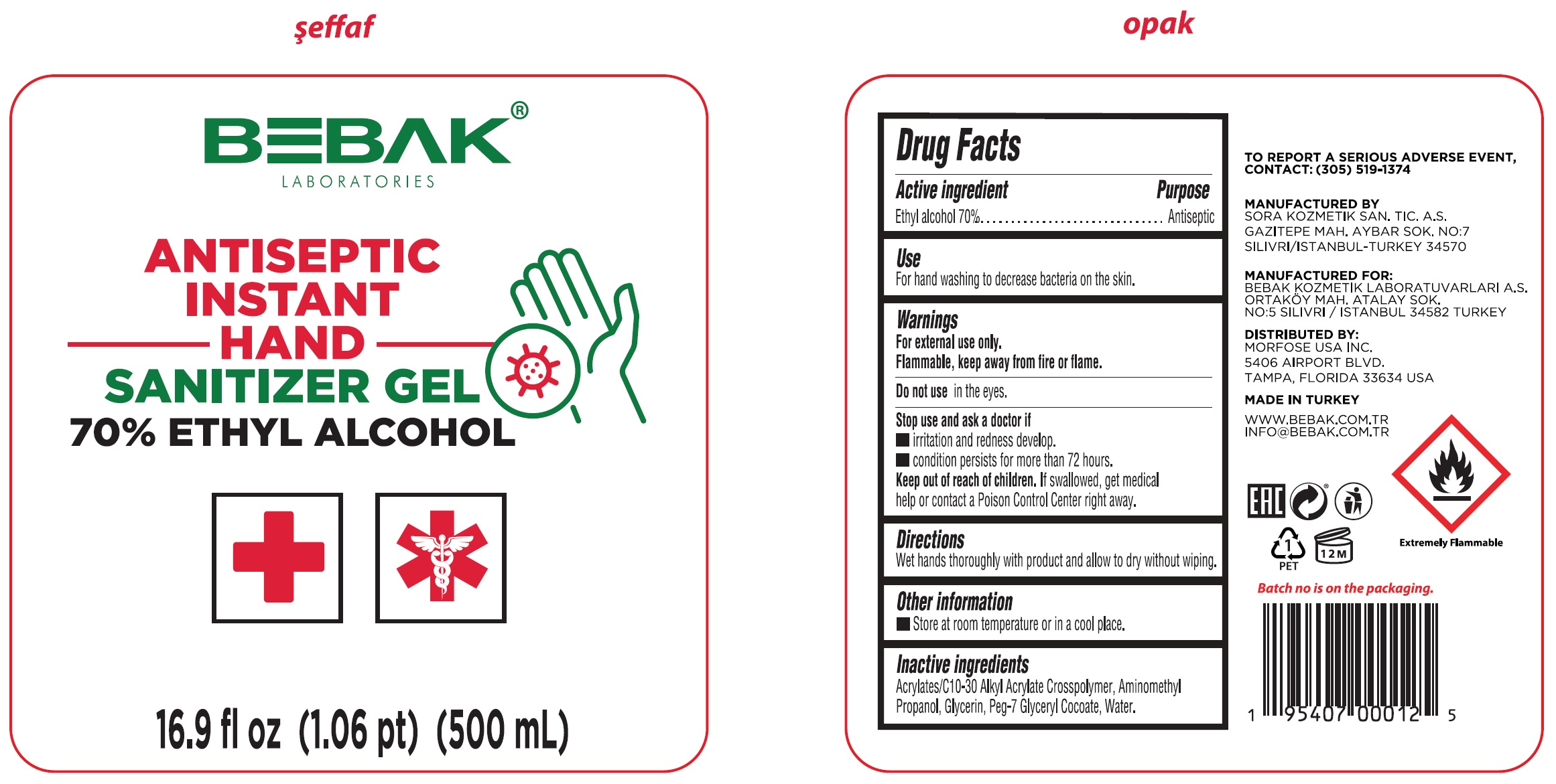 Pill image for instant sanitizing gel