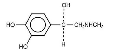 Pill image for These Highlights Do Not Include All The Information Needed To Use Epinephrine Injection Usp Safely And Effectively. See Full Prescribing Information For Epinephrine Injection Usp.