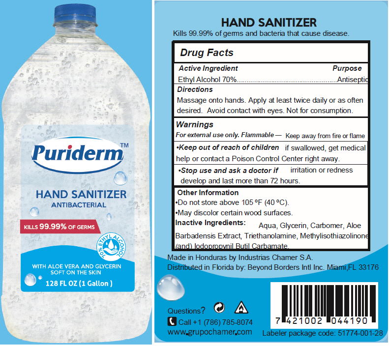 Pill image for Puriderm™ Hand Sanitizer