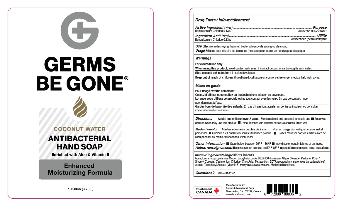 Pill image for Germs Be Gone Antibacterial Hand Soap - Coconut Water