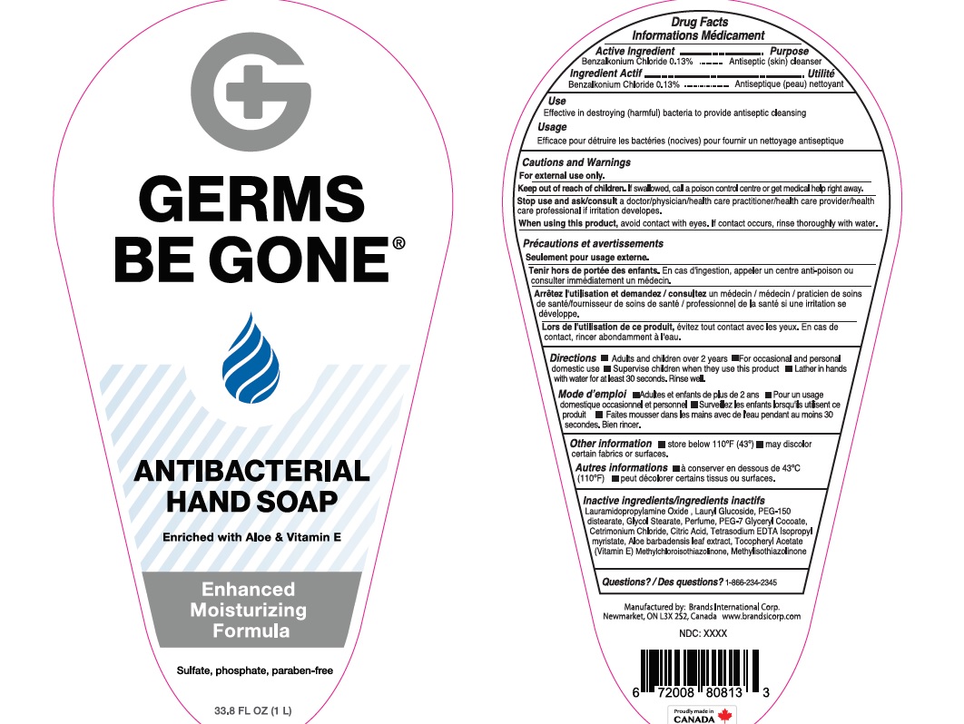 Pill image for Germs Be Gone Antibacterial Hand Soap