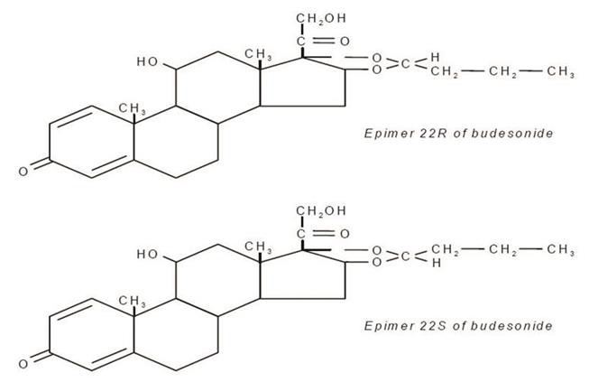 Pill image for These Highlights Do Not Include All The Information Needed To Use budesonide Delayed-release Capsules safely And Effectively. See Full Prescribing Information For Budesonide Delayed-release Capsules.
