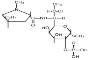 Pill image for Clindamycin Phosphate Topical Solution Usp, 1%