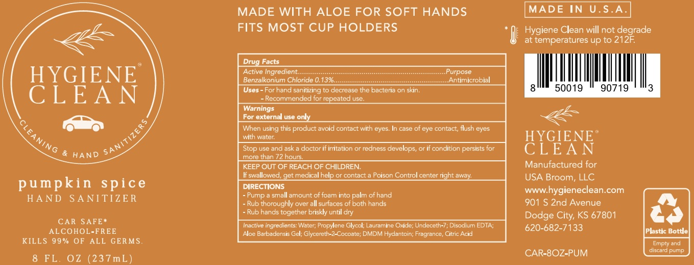 Pill image for Hygiene Clean Pumpkin Spice Hand Sanitizer Alcohol Free