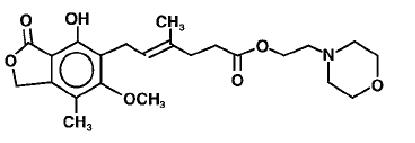 Pill image for These Highlights Do Not Include All The Information Needed To Use Mycophenolate Mofetil Capsules safely And Effectively. See Full Prescribing Information For Mycophenolate Mofetil Capsules.