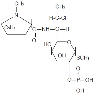 Pill image for Clindamycin Phosphate Gel Usp, 1%