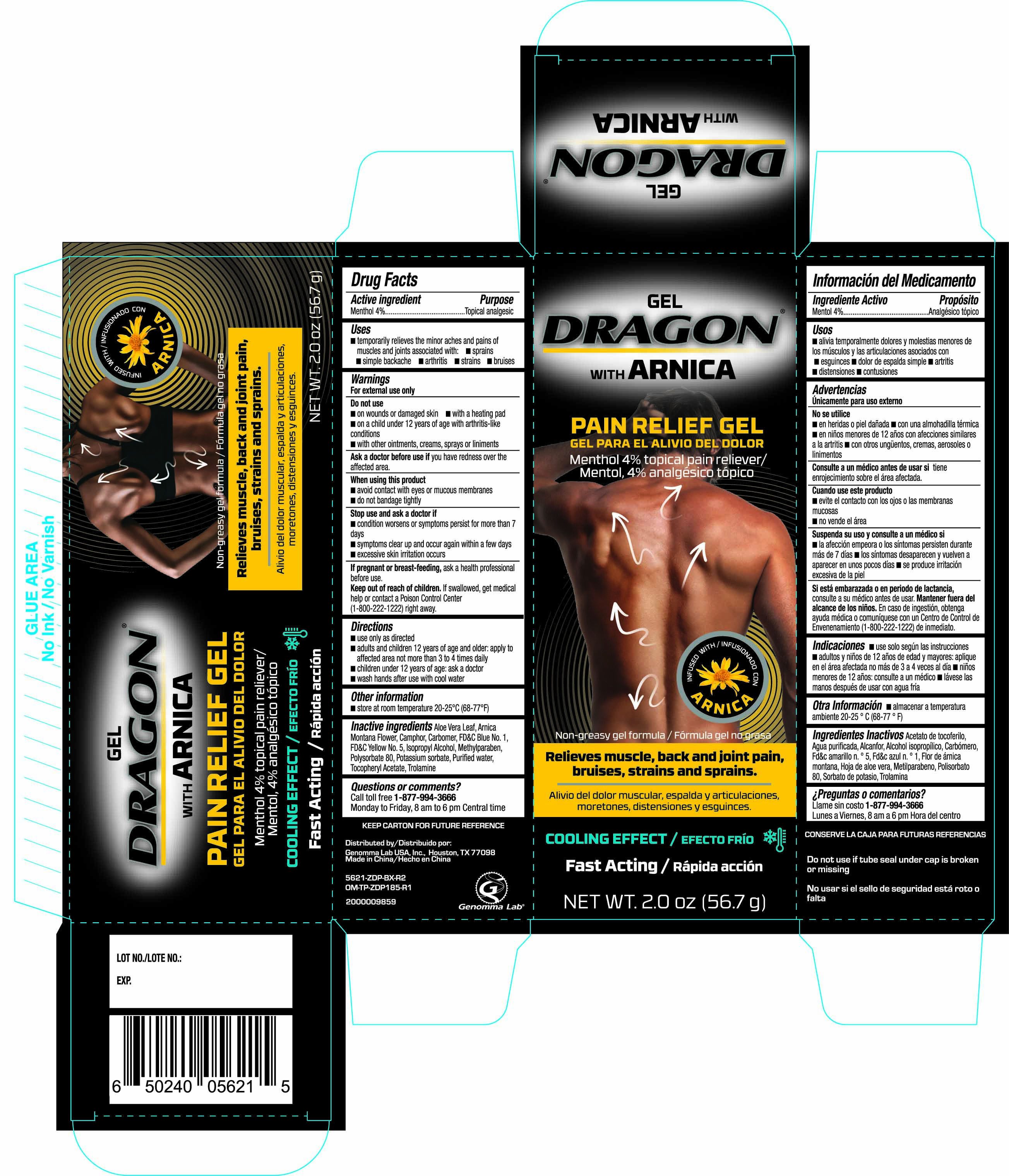 Pill image for Dragon With Arnical Pain Relief Gel 2 Oz 5621 Zdp