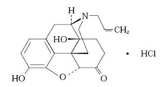 Pill image for These Highlights Do Not Include All The Information Needed To Use Naloxone Hydrochloride Injection Safely And Effectively. See Full Prescribing Information For Naloxone Hydrochloride Injection.