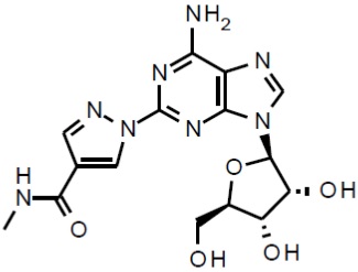 Pill image for These Highlights Do Not Include All The Information Needed To Use Regadenoson Injection Safely And Effectively. See Full Prescribing Information For Regadenoson Injection.