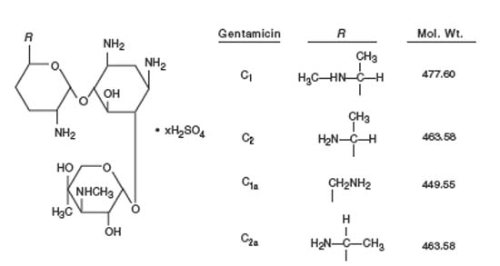Pill image for Gentamicin Sulfate
