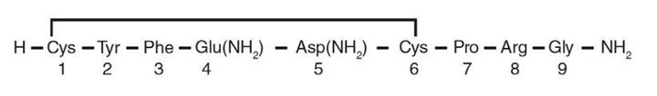 Pill image for These Highlights Do Not Include All The Information Needed To Use Vasopressin In Sodium Chloride Injection