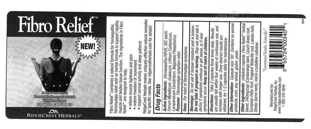 Pill image for Fibro Relief