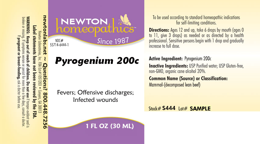 Pill image for Pyrogenium 6444l