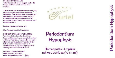 Pill image for Periodontium Hypophysis