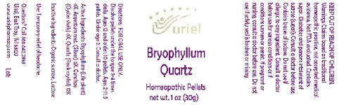 Pill image for Bryophyllum Quartz