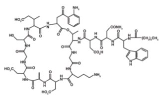 Pill image for These Highlights Do Not Include All The Information Needed To Use Daptomycin For Injection Safely And Effectively. See Full Prescribing Information For Daptomycin For Injection.