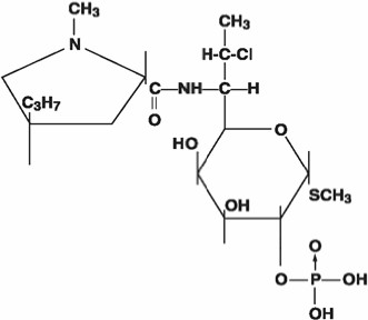 Pill image for Clindamycin And Benzoyl Peroxide Gel,  1%/5%