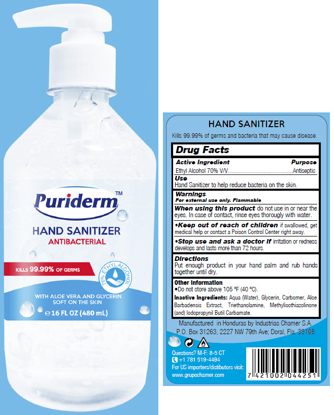 Pill image for Puriderm™ Hand Sanitizer