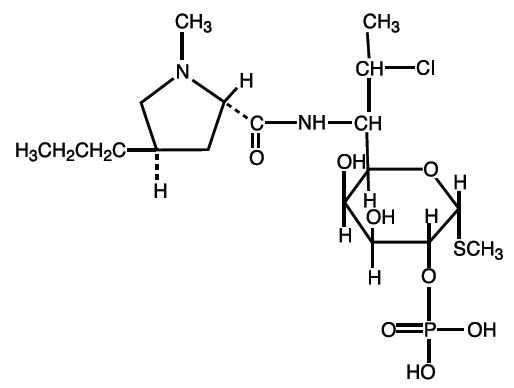 Pill image for clindamycin phosphate topical lotion, 1%