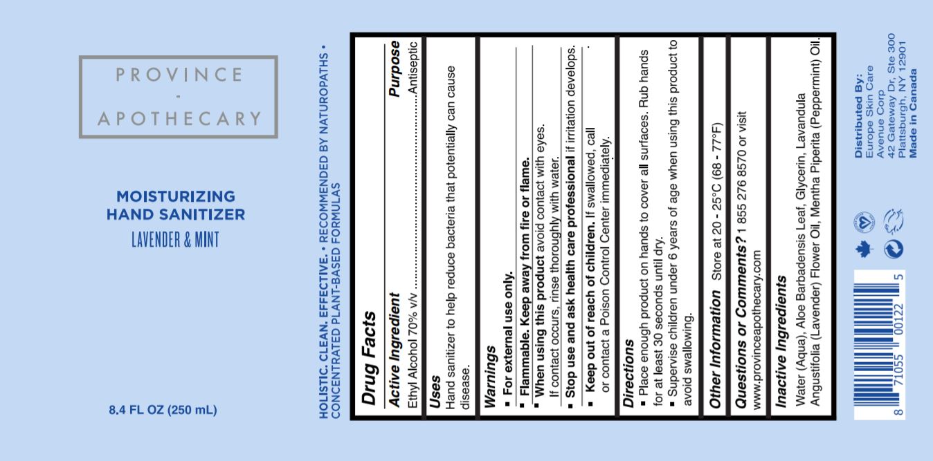 Pill image for Moisturizing Gel Hand Sanitizer Lavender & Mint 250 Ml