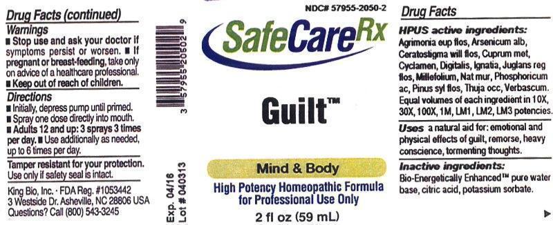 Pill image for Guilt