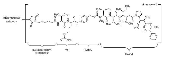 Pill image for These Highlights Do Not Include All The Information Needed To Use Emrelis Safely And Effectively. See Full Prescribing Information For Emrelis.