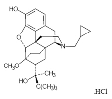 Pill image for These Highlights Do Not Include All The Information Needed To Use Belbuca Safely And Effectively. See Full Prescribing Information For Belbuca.