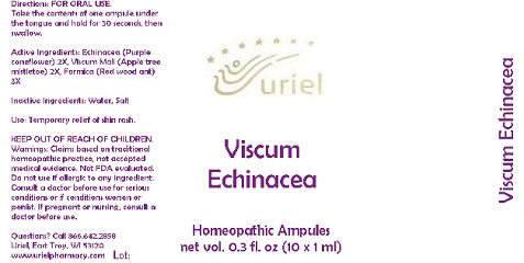 Pill image for Viscum Echinacea