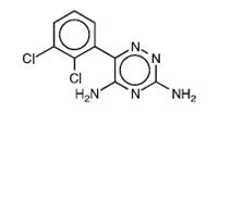 Pill image for these highlights do not include all the information needed to use lamotrigine tablets and lamotrigine tablets for oral suspension safely and effectively. see full prescribing information for lamotrigine tablets and lamotrigine tablets for oral suspension.