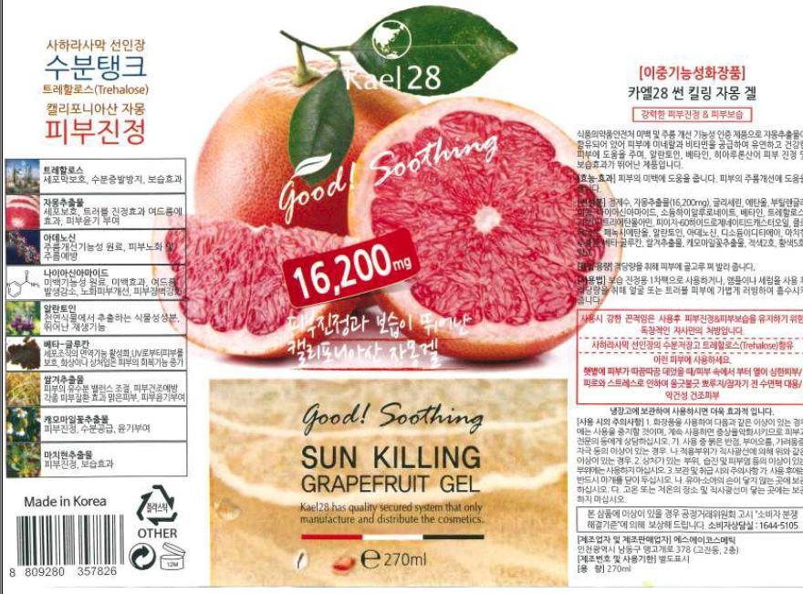 Pill image for Drug Facts