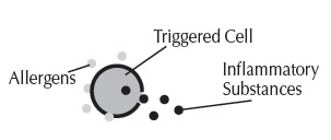 Pill image for Costco Wholesale Corp. Aller-flo®