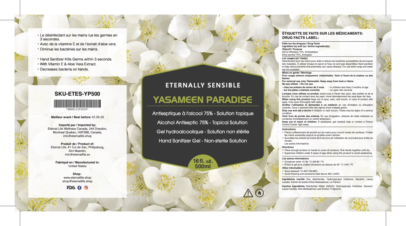 Pill image for Hand Sanitizer Gel