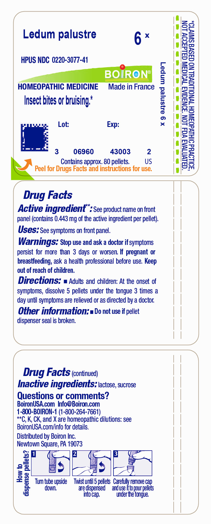 Pill image for Ledum Palustre 6x