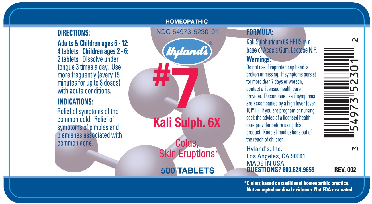 Pill image for #7 Kali Sulph. 6x 500 Tablets