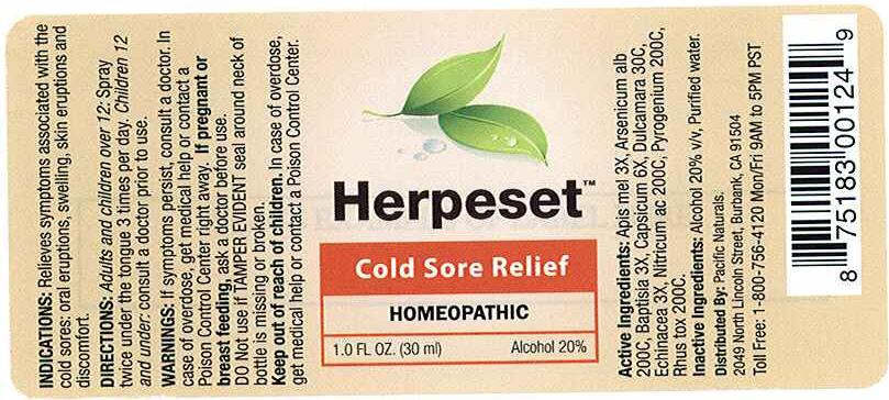 Pill image for Herpeset