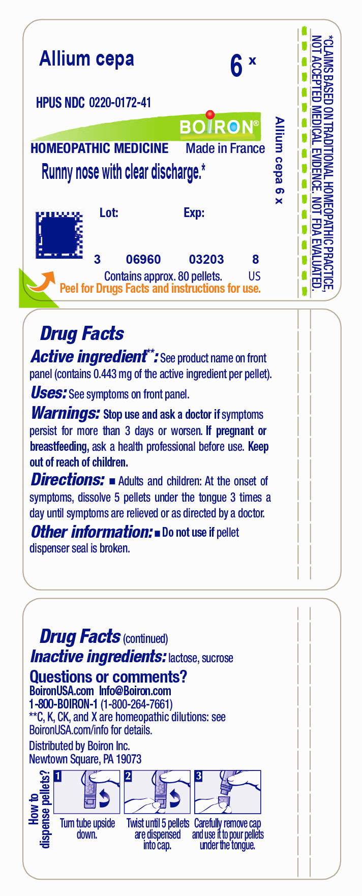 Pill image for Allium Cepa 6x