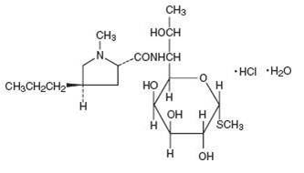 Pill image for Lincomycin Injection, Usp