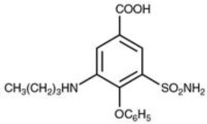 Pill image for Bumetanide Injection, Usp