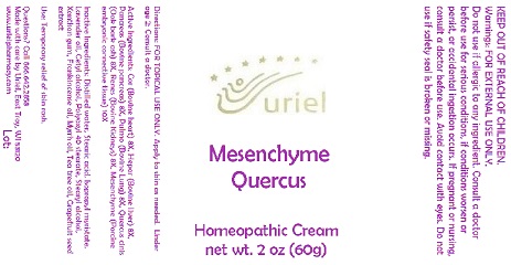 Pill image for Mesenchyme Quercus