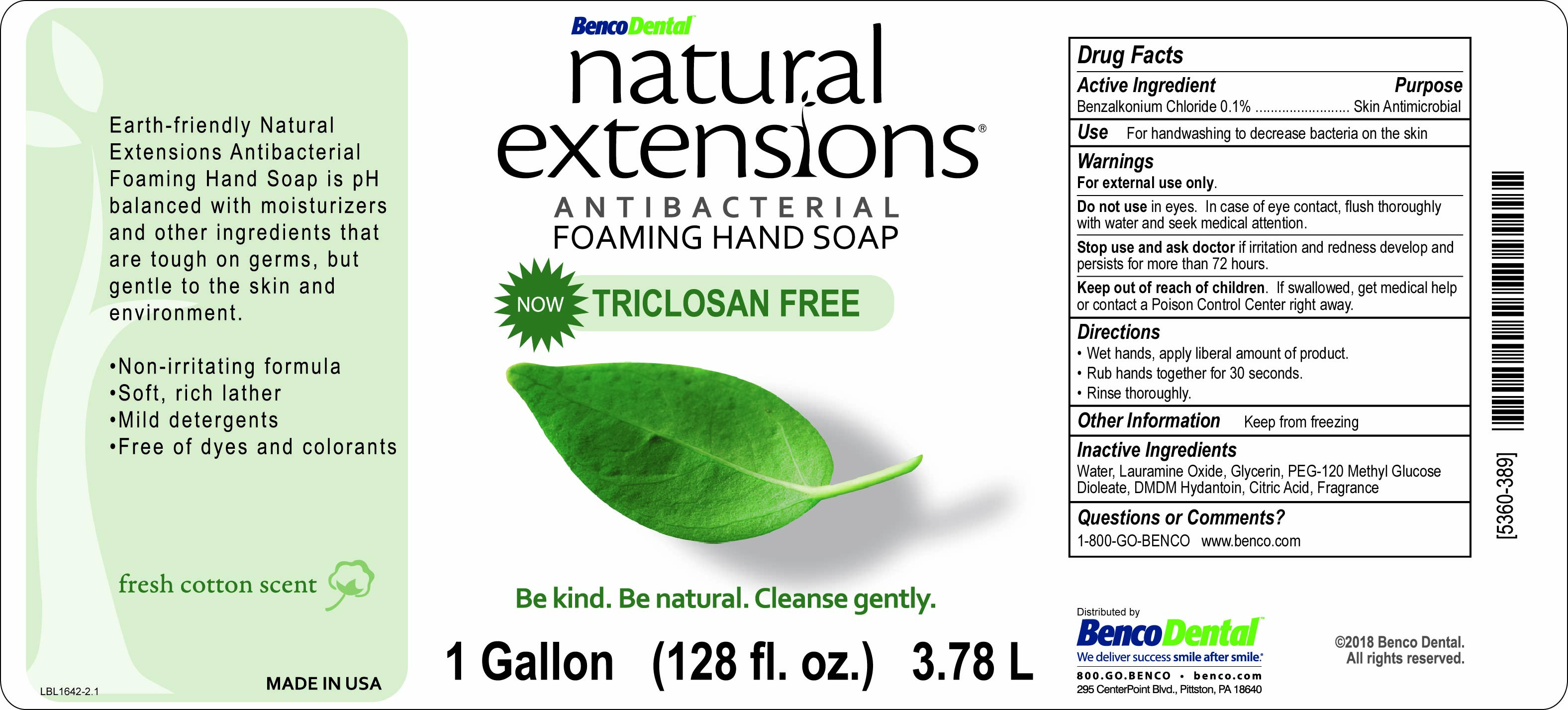 Pill image for Natural Extensions Antibacterial Foaming Hand Soap