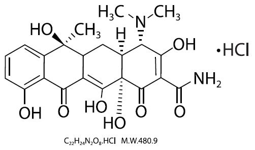 Pill image for Tetracycline Hydrochloride Tablets, Usp