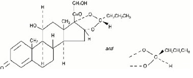 Pill image for These Highlights Do Not Include All The Information Needed To Use Budesonide Inhalation Suspension Safely And Effectively. See Full Prescribing Information For Budesonide Inhalation Suspension .