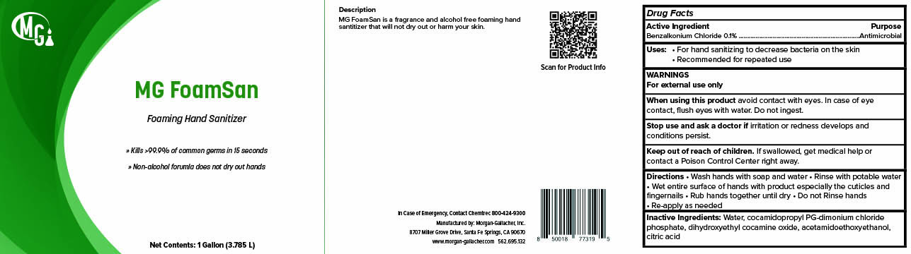 Pill image for Mg Foamsan