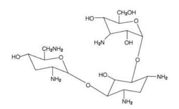 Pill image for These Highlights Do Not Include All The Information Needed To Use Tobramycin Inhalation Solution